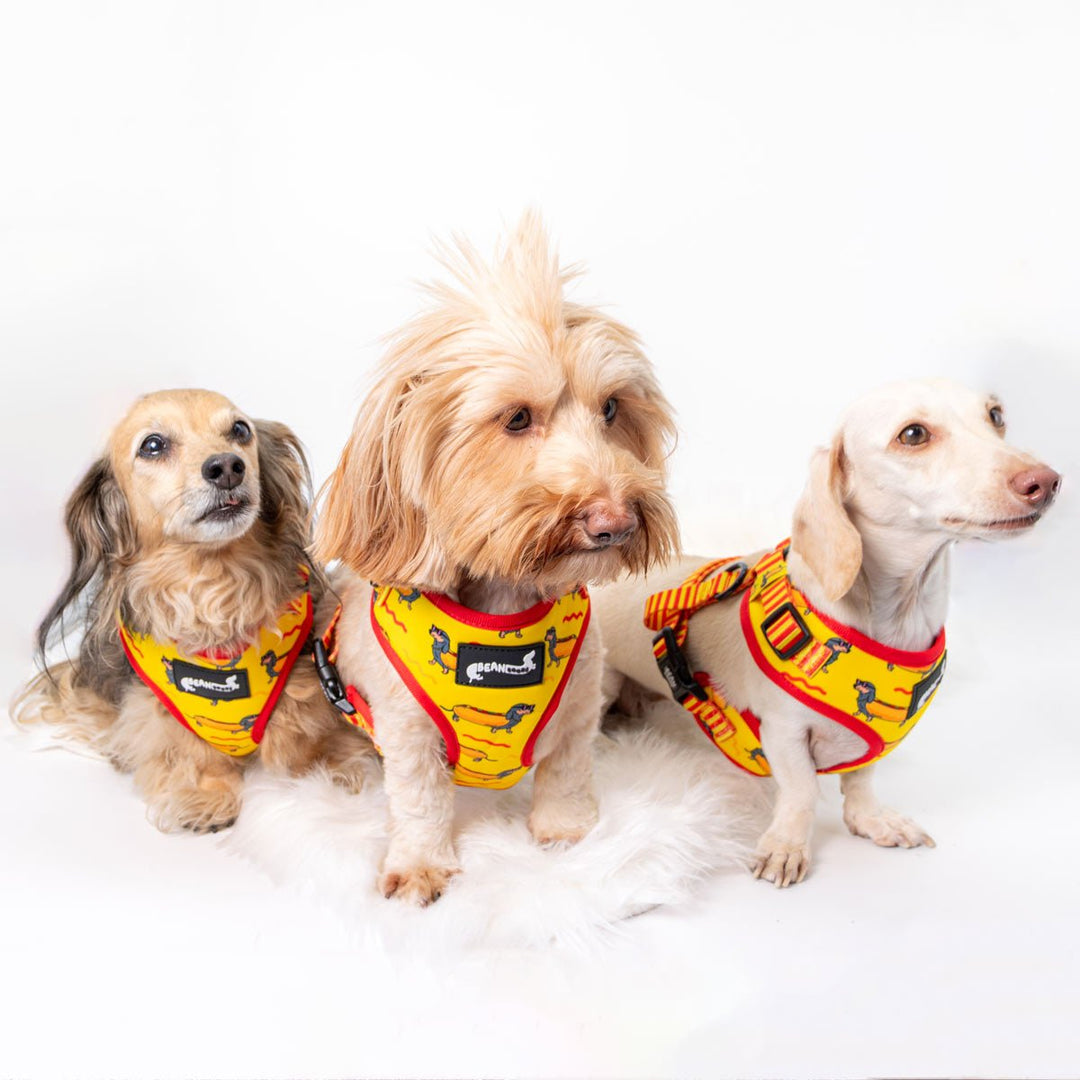 adjustable harness - hot dog - bean goods