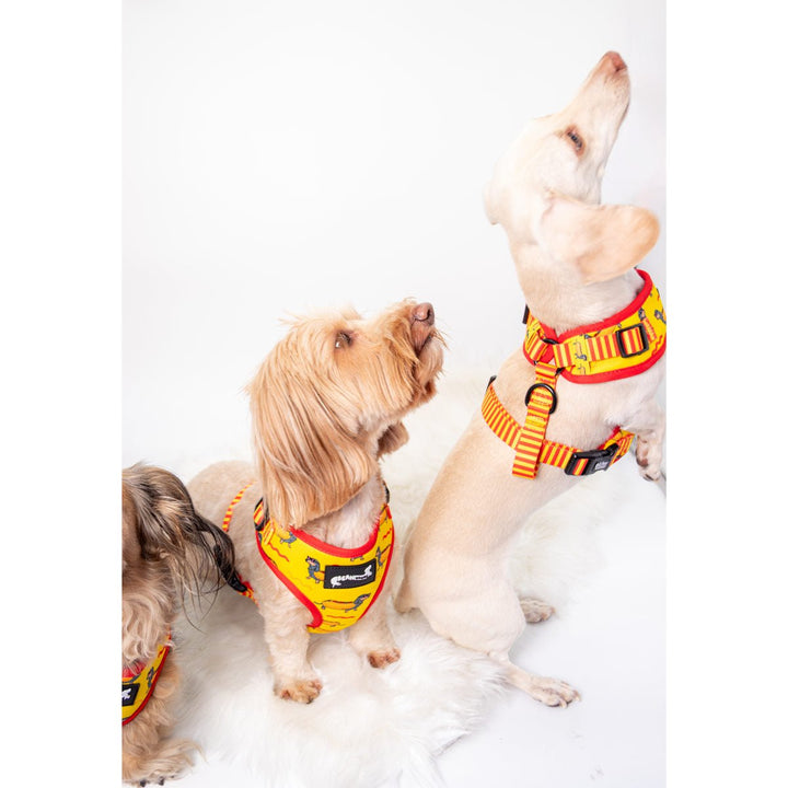 adjustable harness - hot dog - bean goods