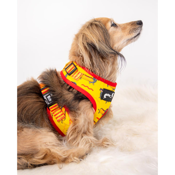 adjustable harness - hot dog - bean goods