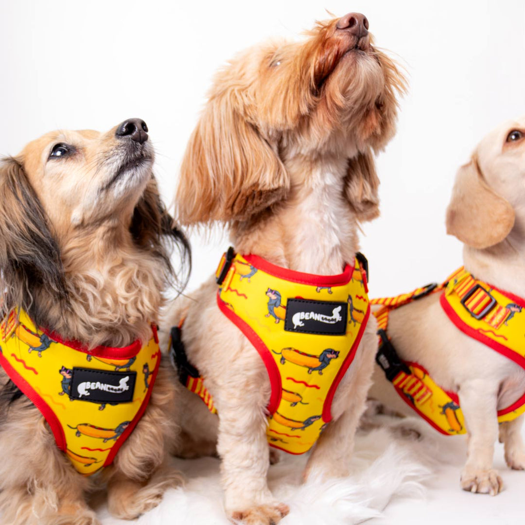 adjustable harness - hot dog - bean goods