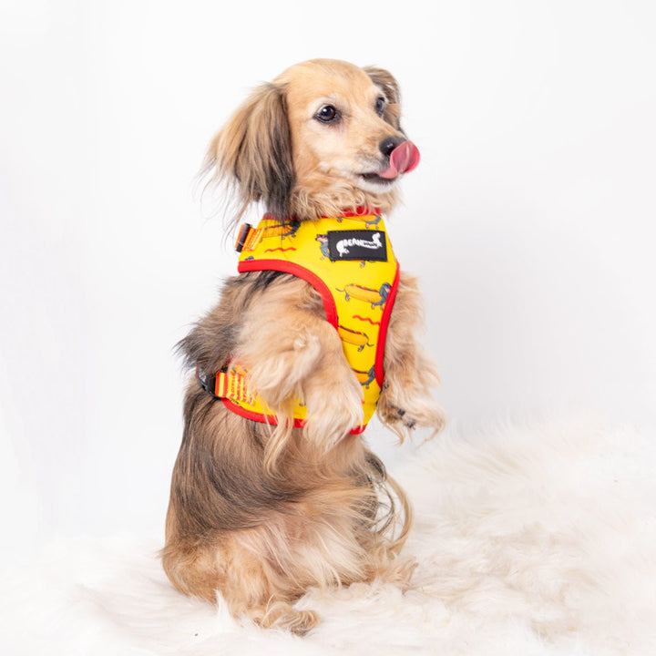 adjustable harness - hot dog - bean goods