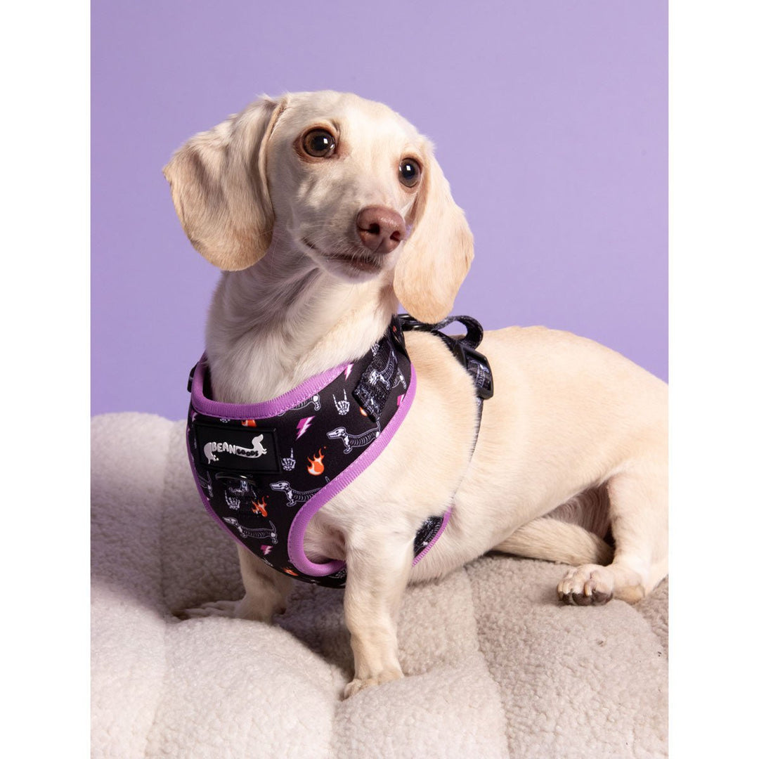 adjustable harness - skeleween - bean goods