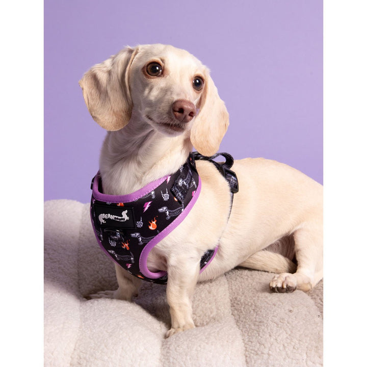 adjustable harness - skeleween - bean goods