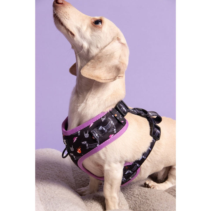 adjustable harness - skeleween - bean goods