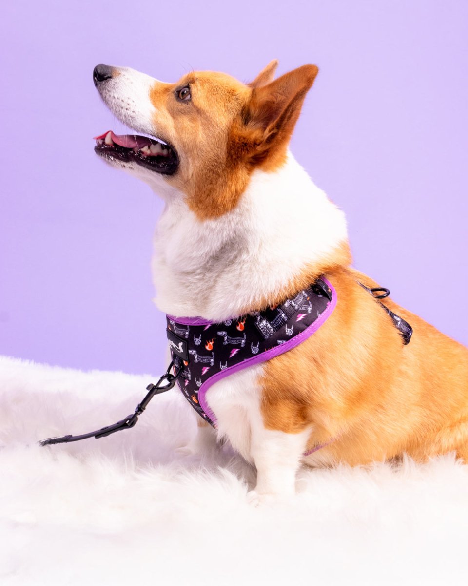 adjustable harness - skeleween - bean goods