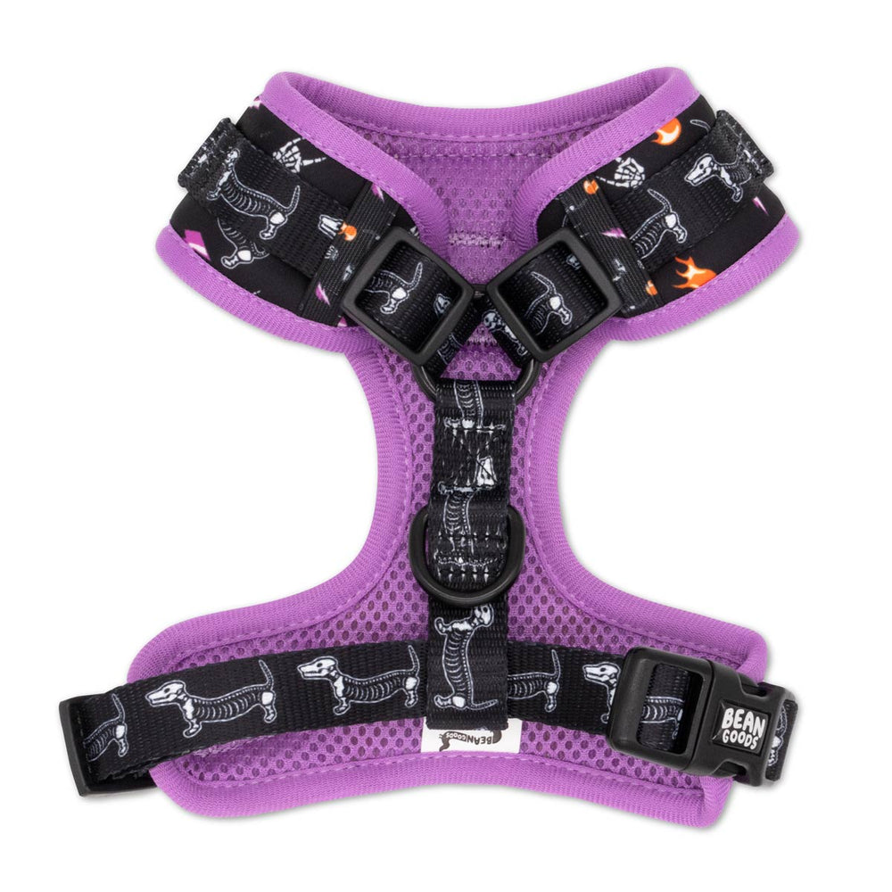 adjustable harness - skeleween - bean goods