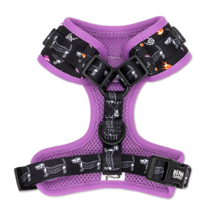 adjustable harness - skeleween - bean goods