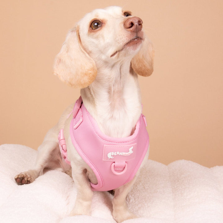 adjustable harness - ween pink - bean goods