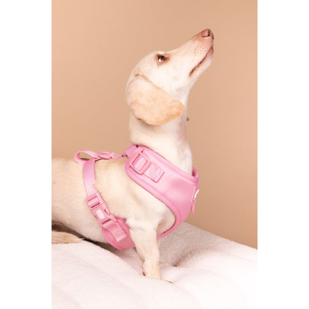 adjustable harness - ween pink - bean goods