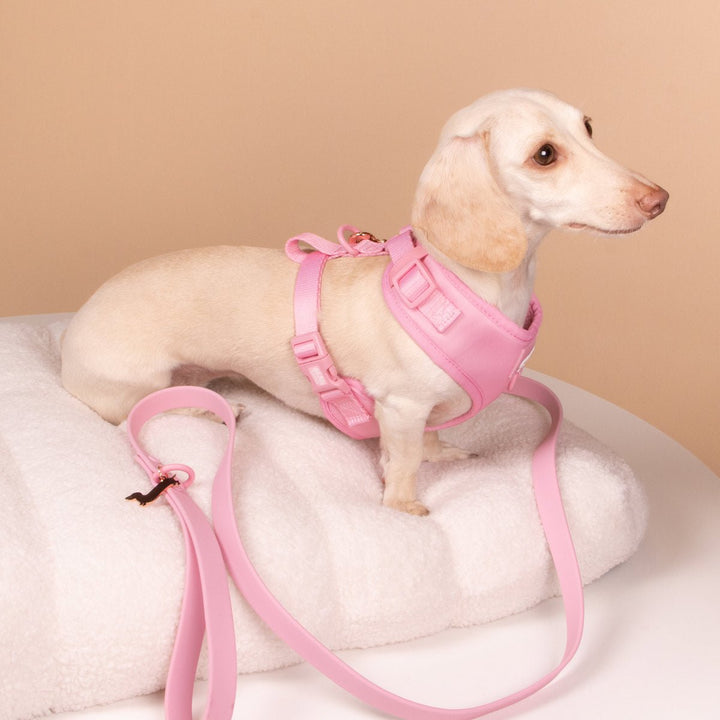 adjustable harness - ween pink - bean goods