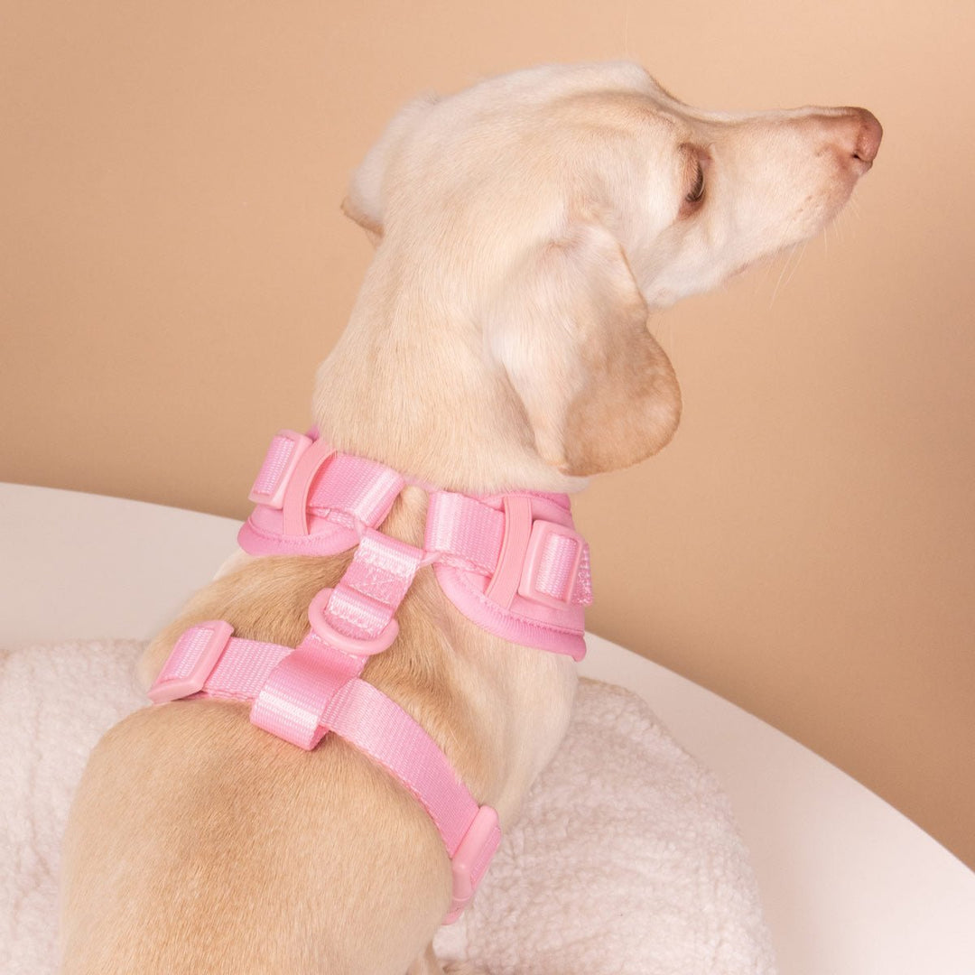 adjustable harness - ween pink - bean goods