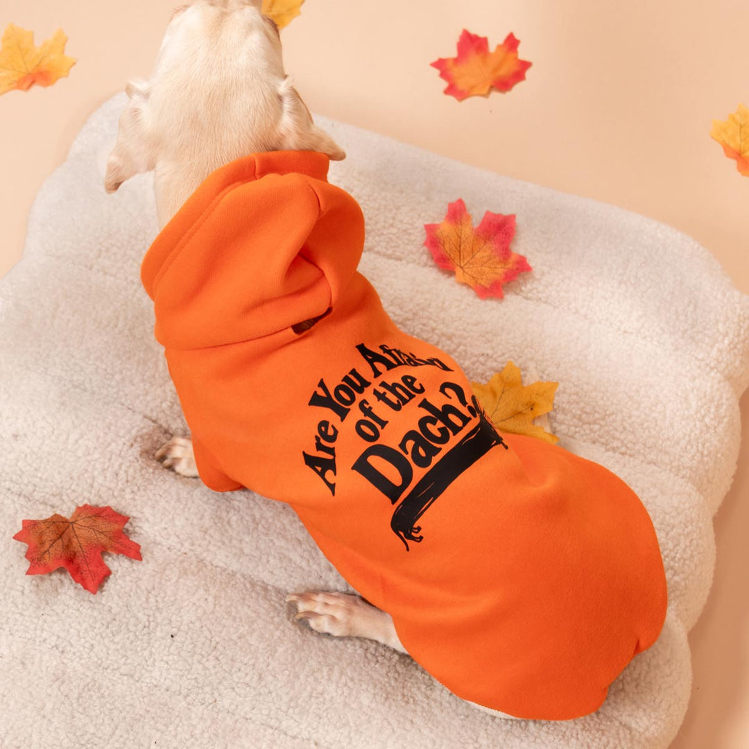 are you afraid of the dach doxie hoodie - bean goods