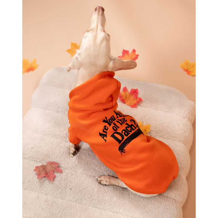 are you afraid of the dach doxie hoodie - bean goods