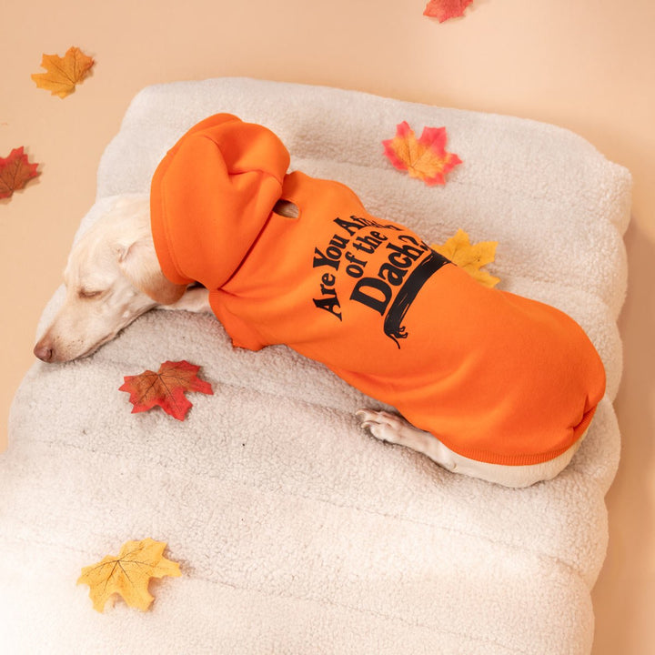 are you afraid of the dach doxie hoodie - bean goods