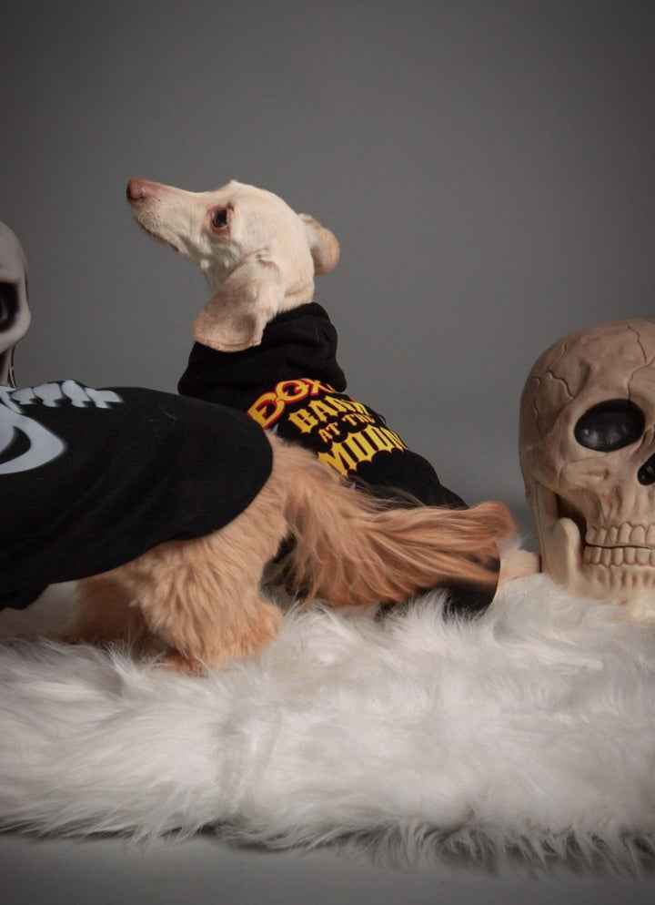 bark at the moon doxie hoodie - bean goods
