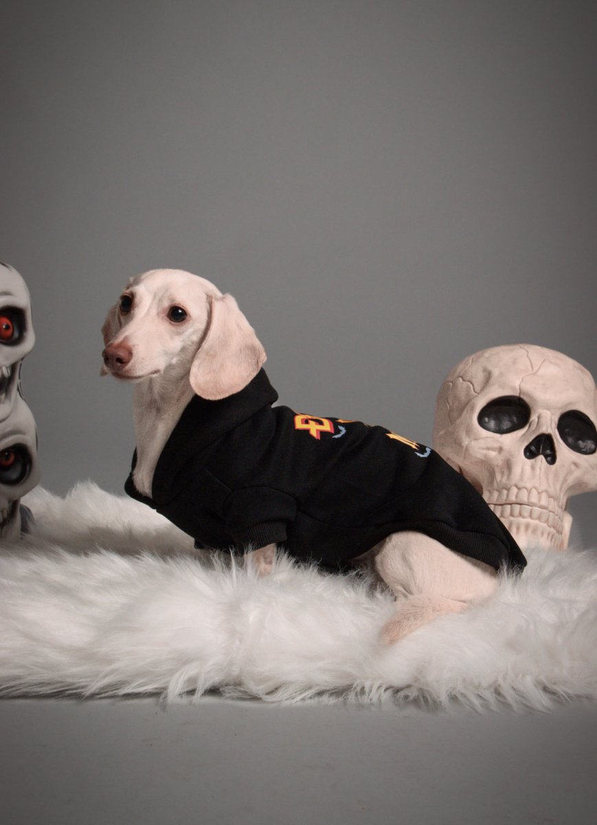bark at the moon doxie hoodie - bean goods