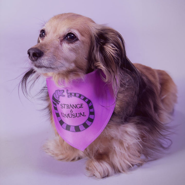 beetleween bandana - bean goods