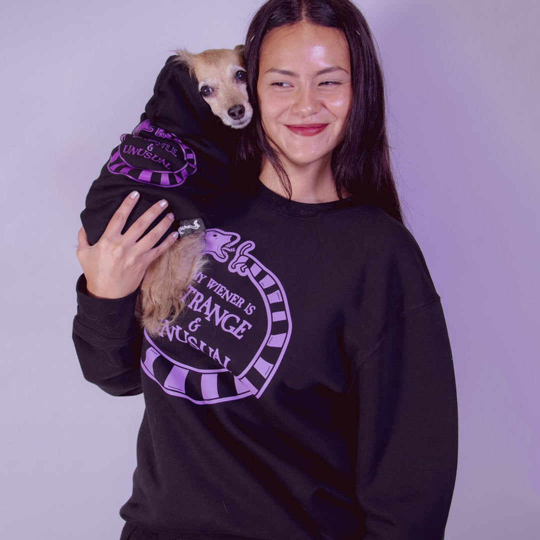 beetleween doxie hoodie - bean goods