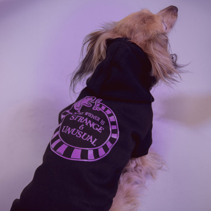 beetleween doxie hoodie - bean goods