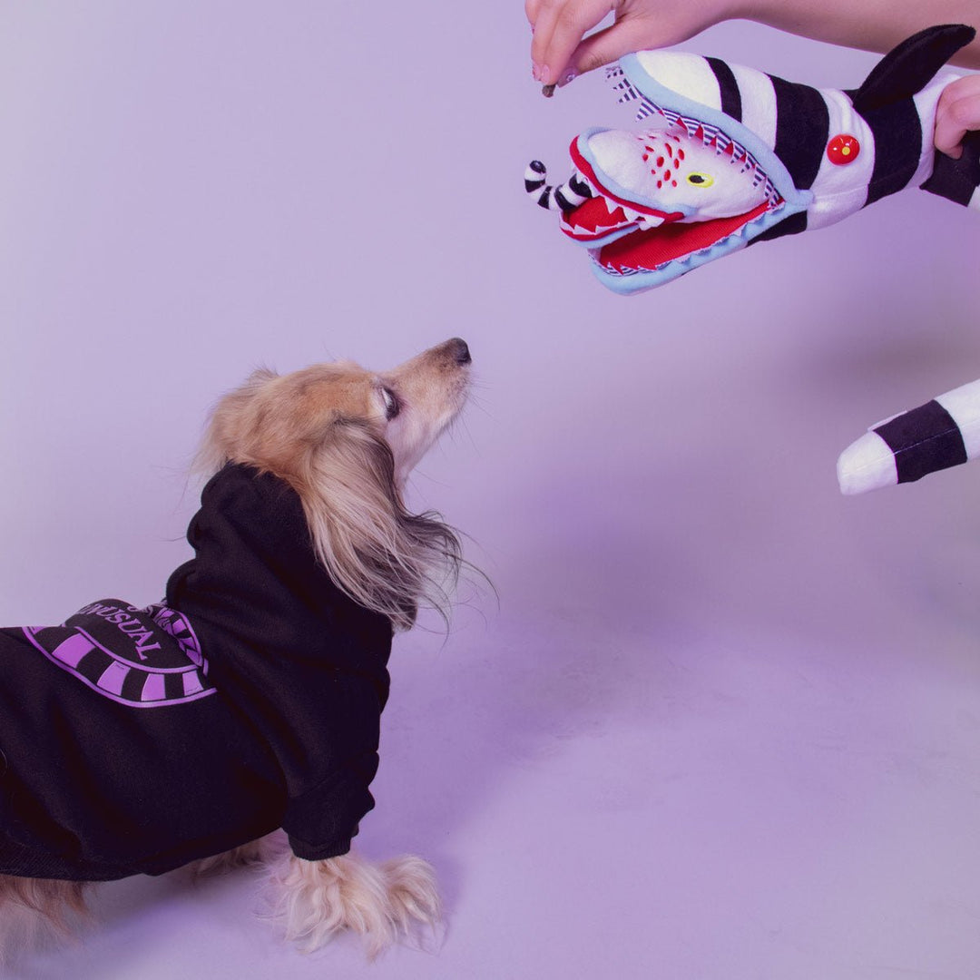 beetleween doxie hoodie - bean goods