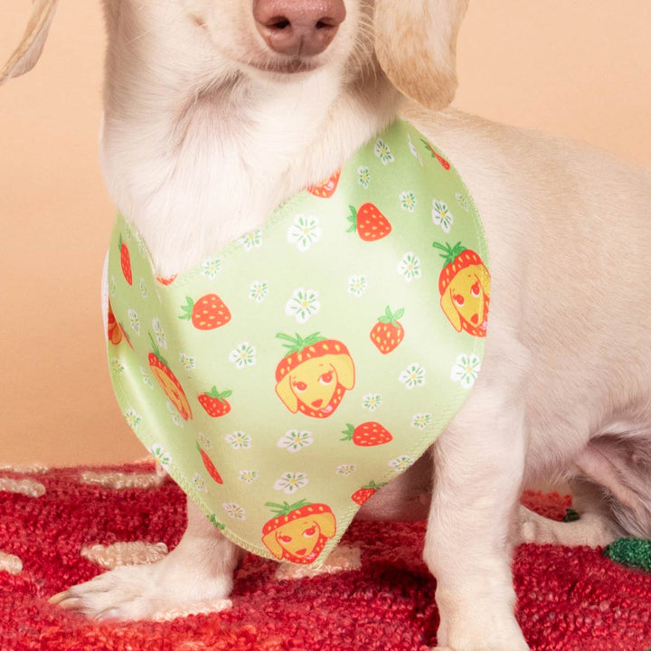 berry cute bandana - bean goods