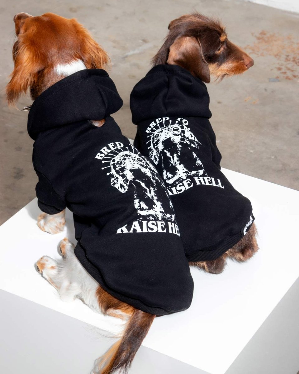 bred to raise hell doxie hoodie - bean goods