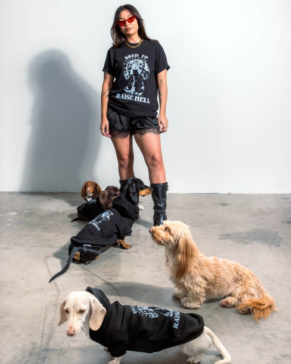 bred to raise hell doxie hoodie - bean goods