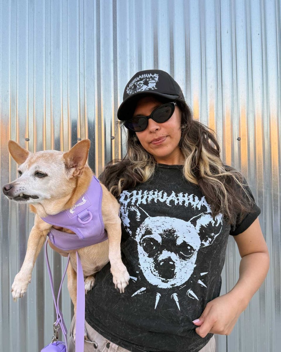 chihuahua unisex tee | midnight mineral wash - bean goods