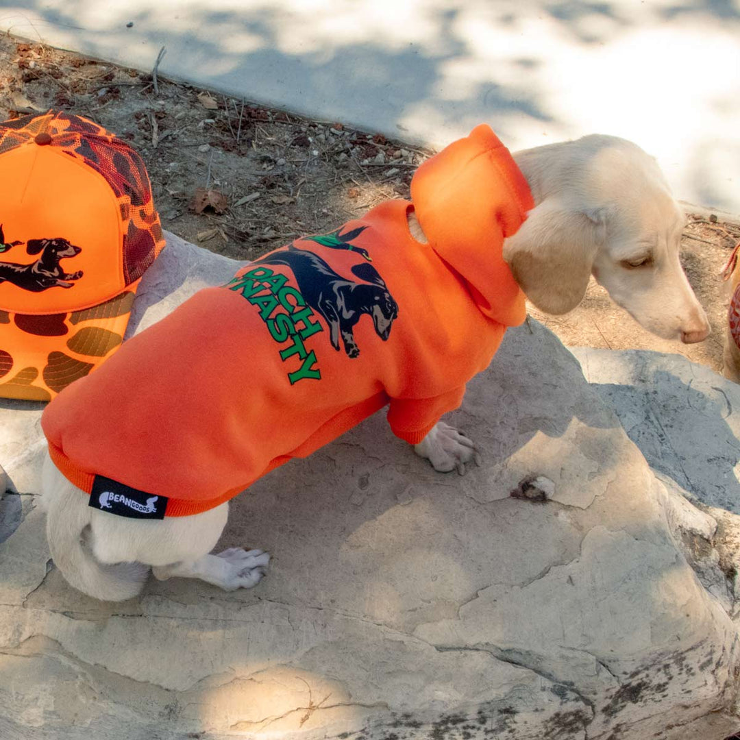 dach dynasty doxie hoodie - bean goods