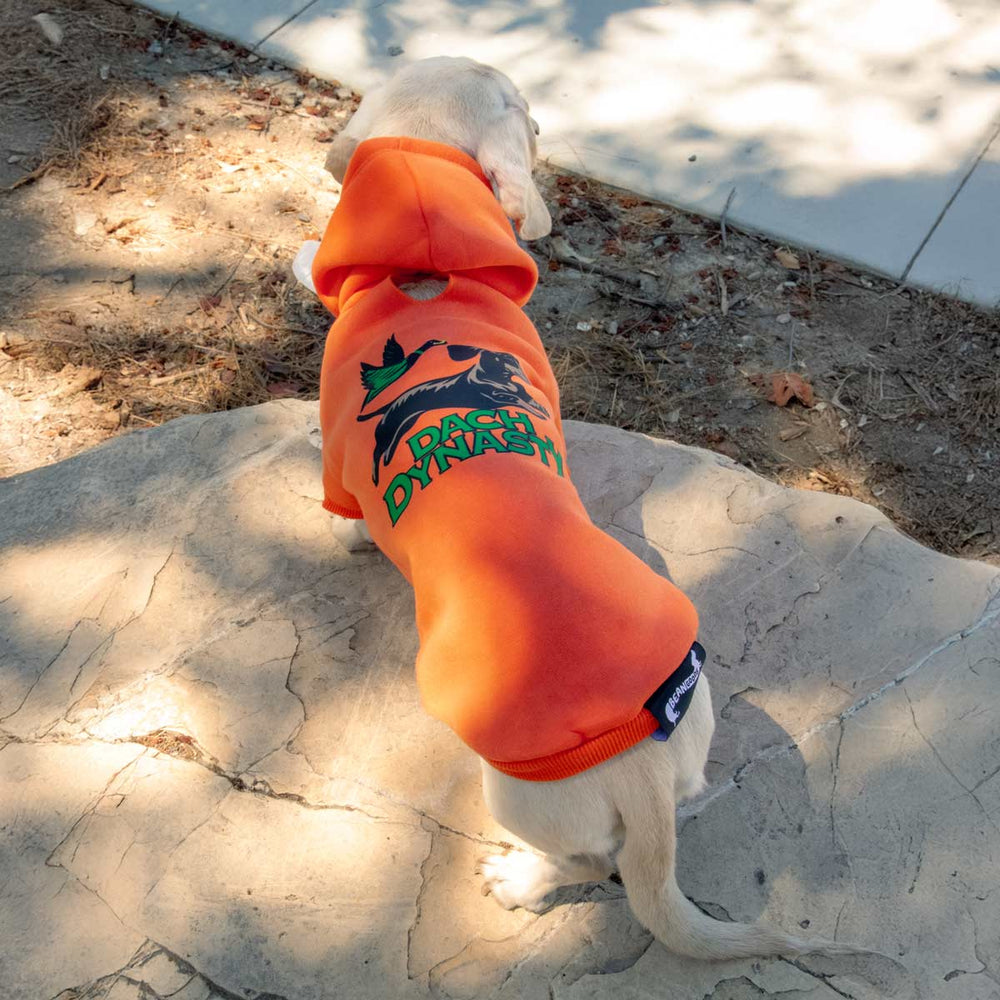 dach dynasty doxie hoodie - bean goods