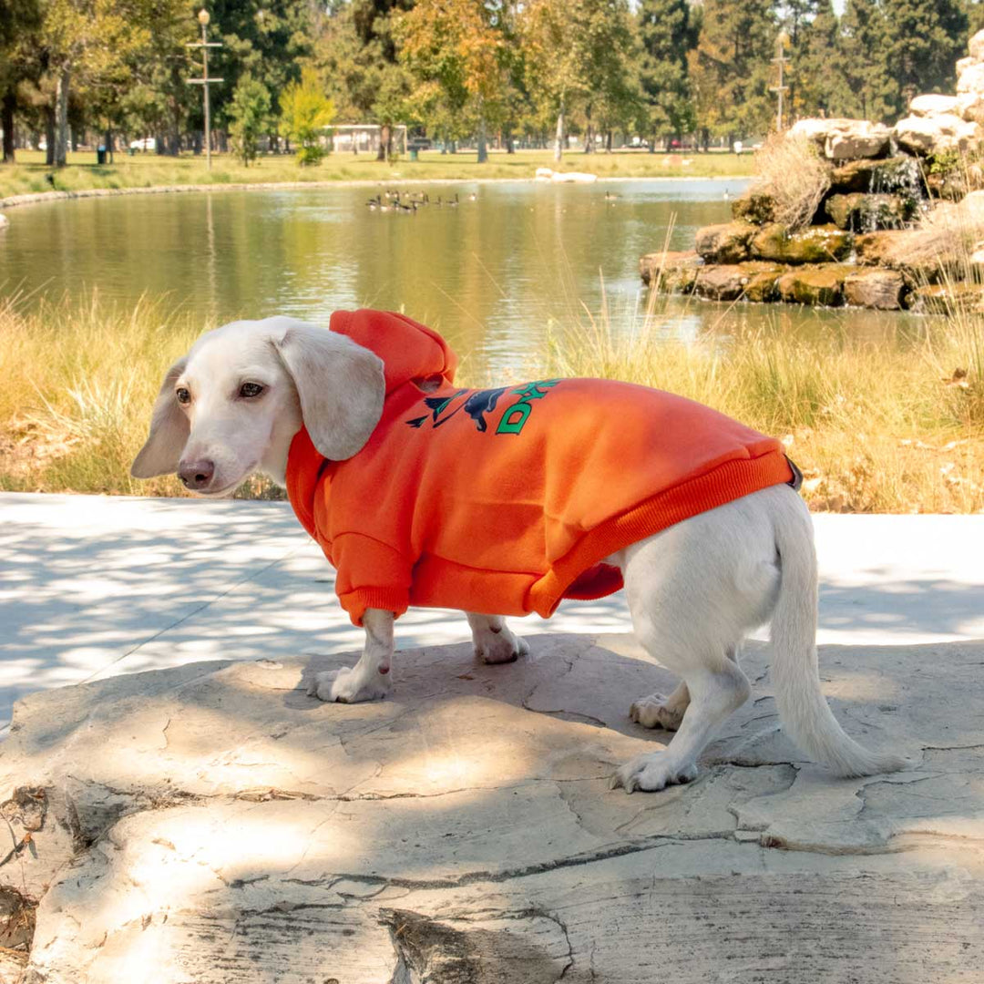 dach dynasty doxie hoodie - bean goods