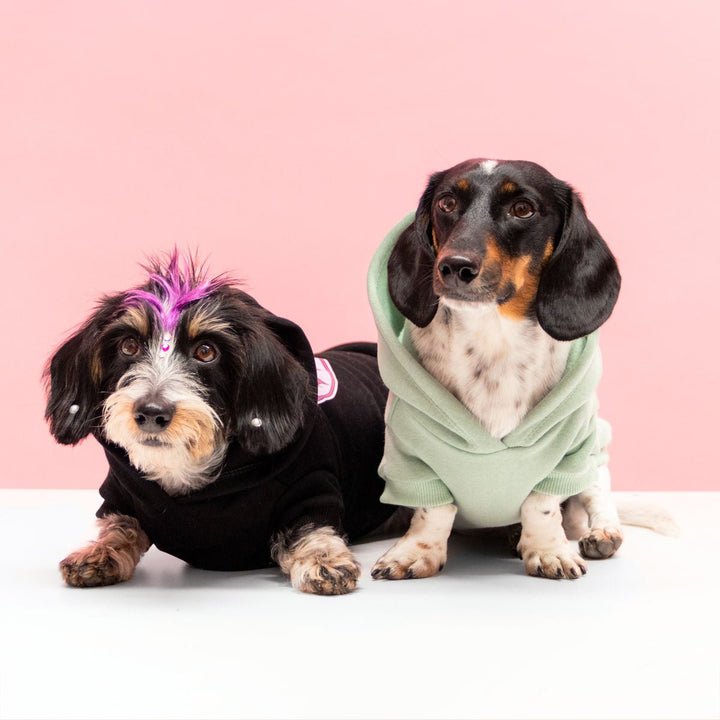 daddy’s girl doxie hoodie | midnight - bean goods
