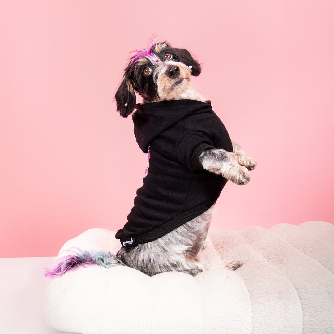 daddy’s girl doxie hoodie | midnight - bean goods