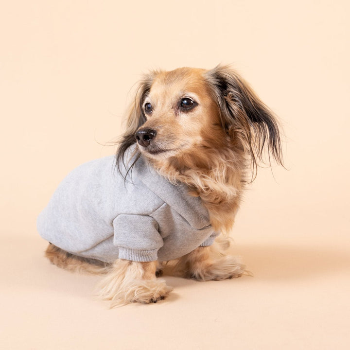 doxie hoodie | heather grey - bean goods