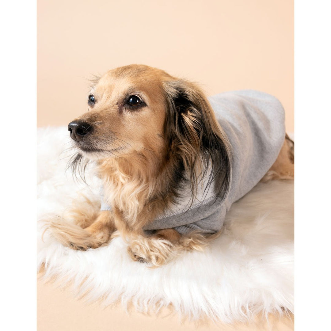 doxie hoodie | heather grey - bean goods