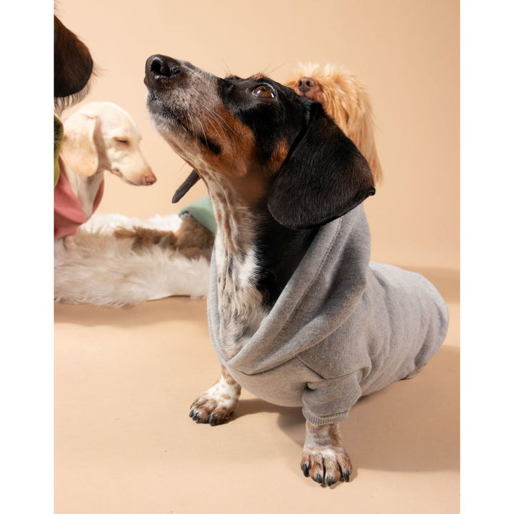 doxie hoodie | heather grey - bean goods