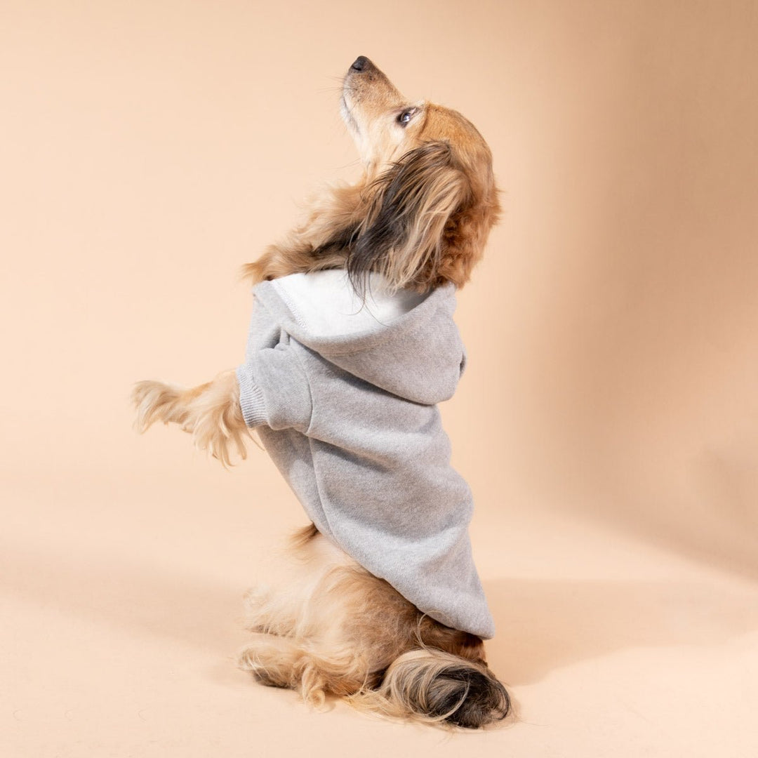 doxie hoodie | heather grey - bean goods