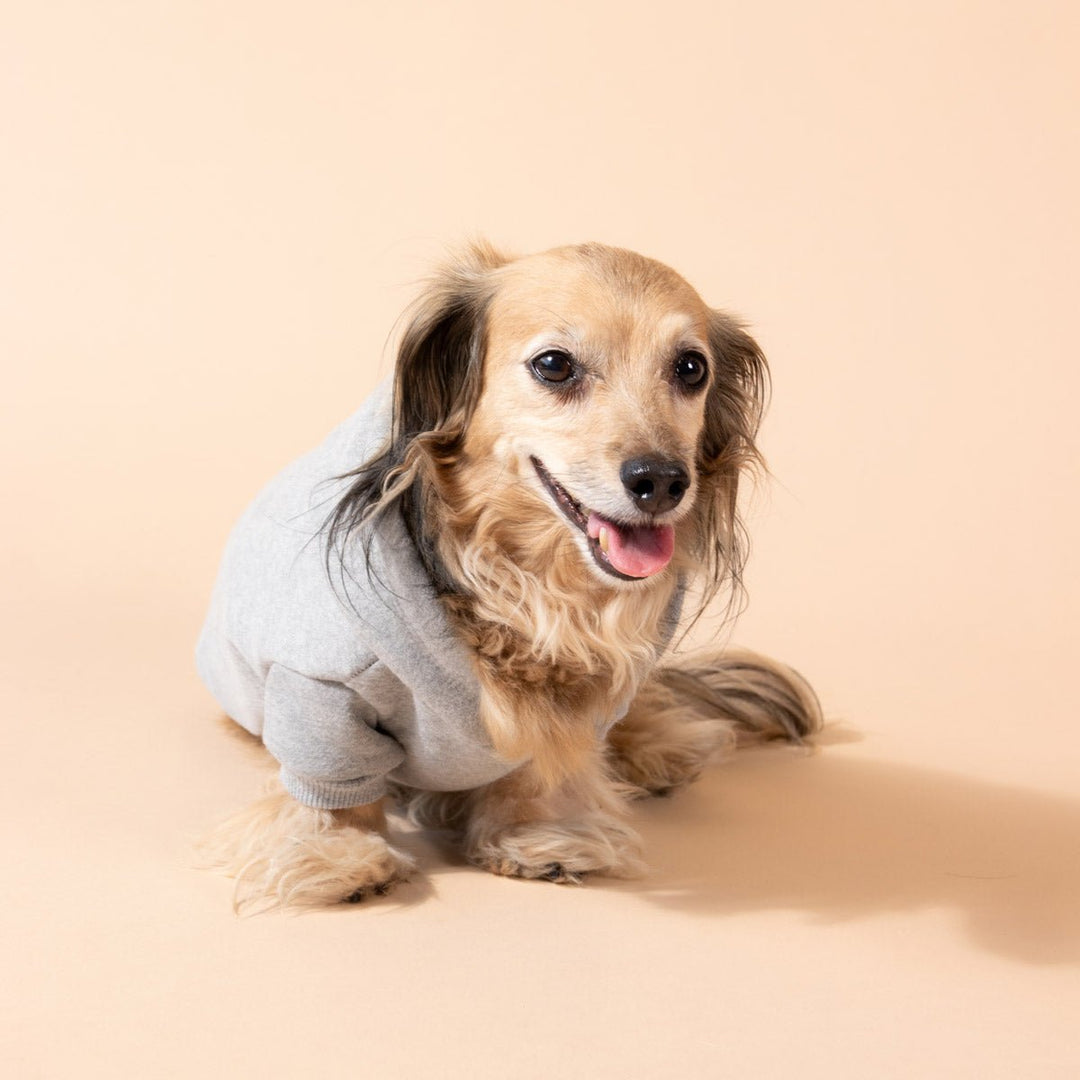 doxie hoodie | heather grey - bean goods