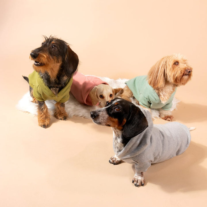 doxie hoodie | heather grey - bean goods