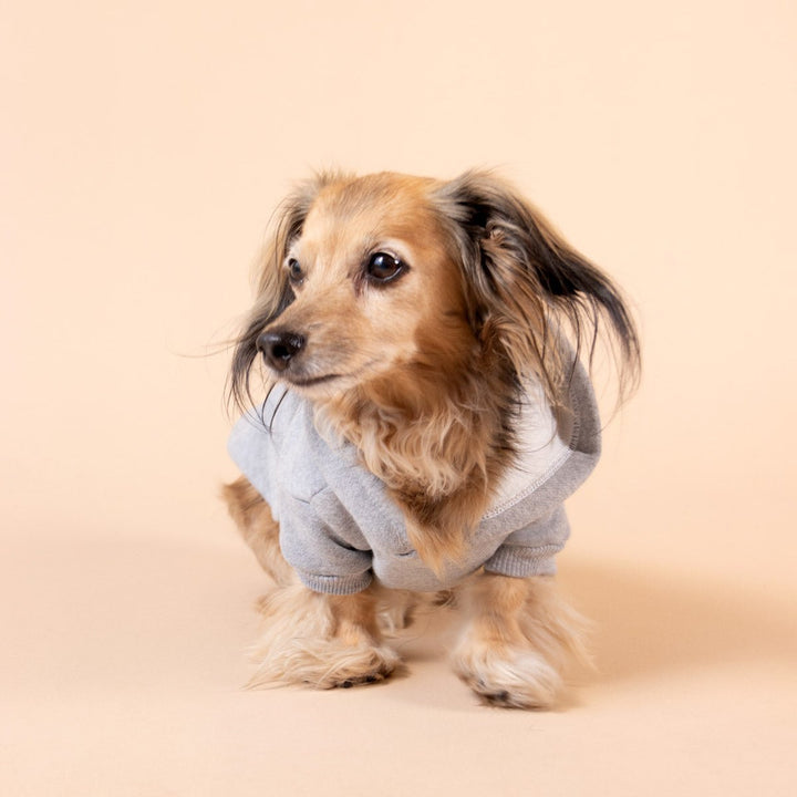 doxie hoodie | heather grey - bean goods