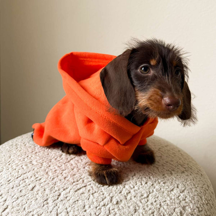 doxie hoodie | hunter orange - bean goods