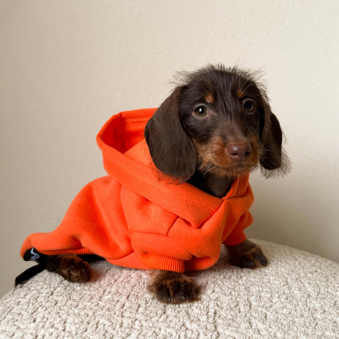 doxie hoodie | hunter orange - bean goods