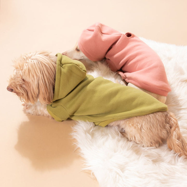 doxie hoodie | matcha - bean goods