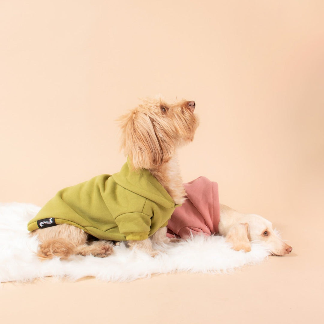 doxie hoodie | matcha - bean goods