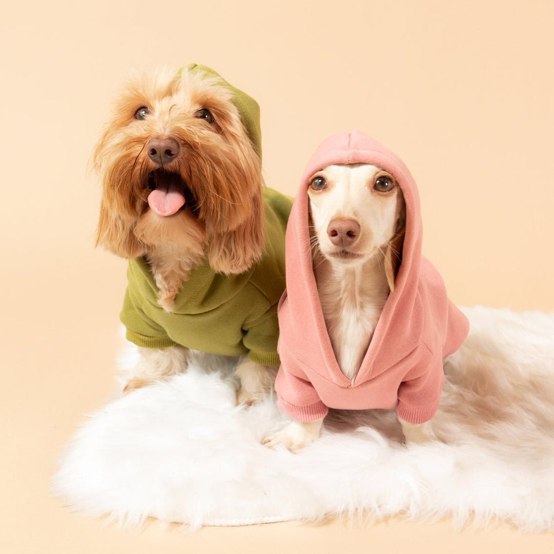 doxie hoodie | matcha - bean goods