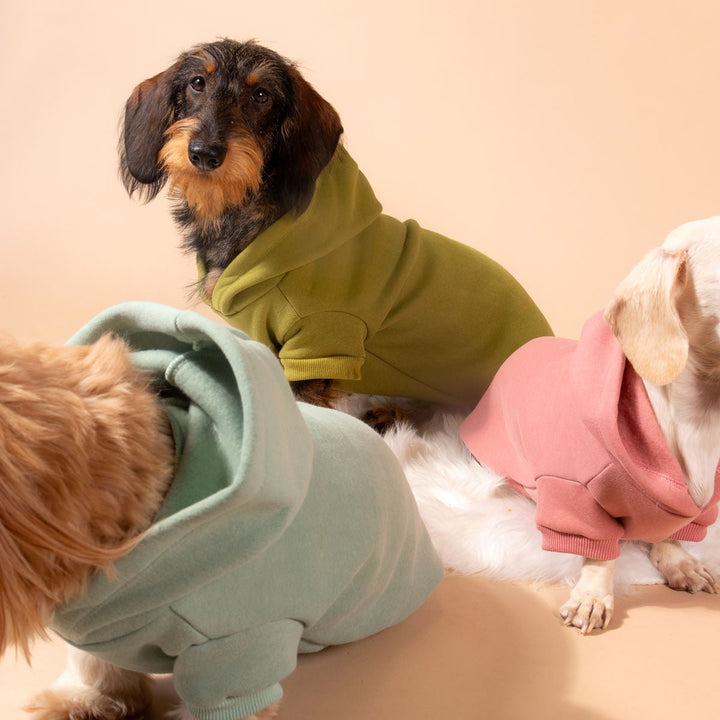 doxie hoodie | matcha - bean goods