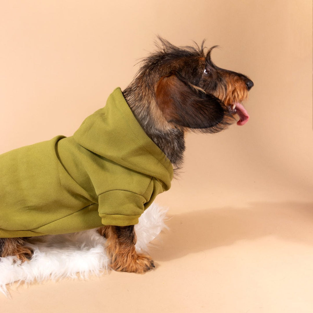 doxie hoodie | matcha - bean goods