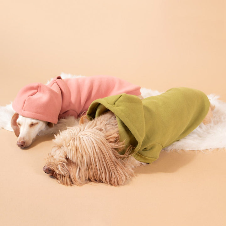 doxie hoodie | matcha - bean goods