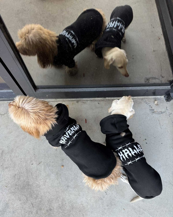 doxie hoodie | midnight - bean goods