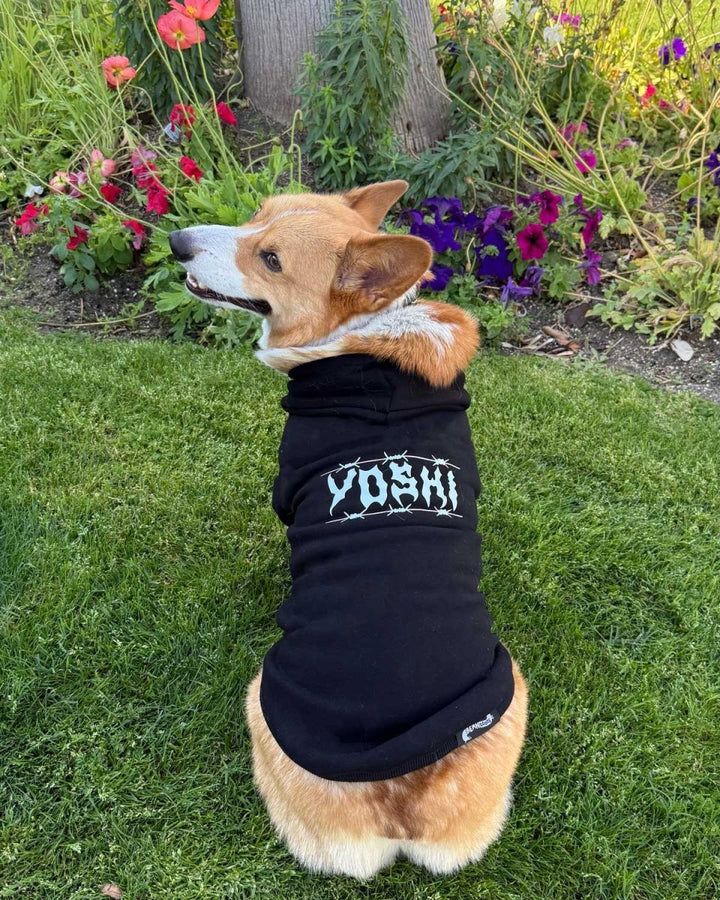 doxie hoodie | midnight - bean goods